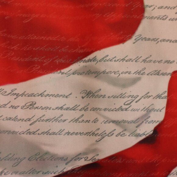 Cotton Traders Sport Patriotic Tee Size L - Picture 8 of 9